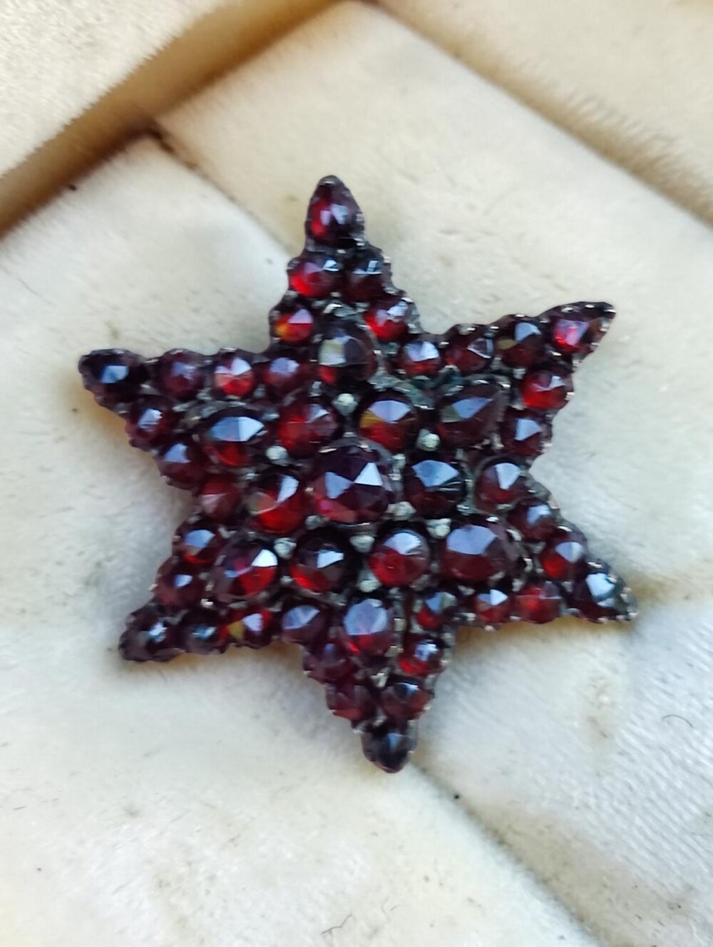⭐ Antique Bohemian Garnet Star Brooch